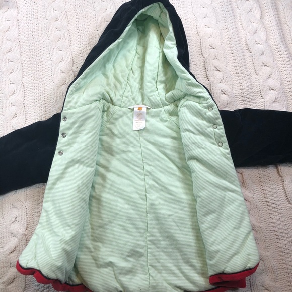 Anne Geddes Ladybug velour jacket sz 4 - Picture 5 of 6